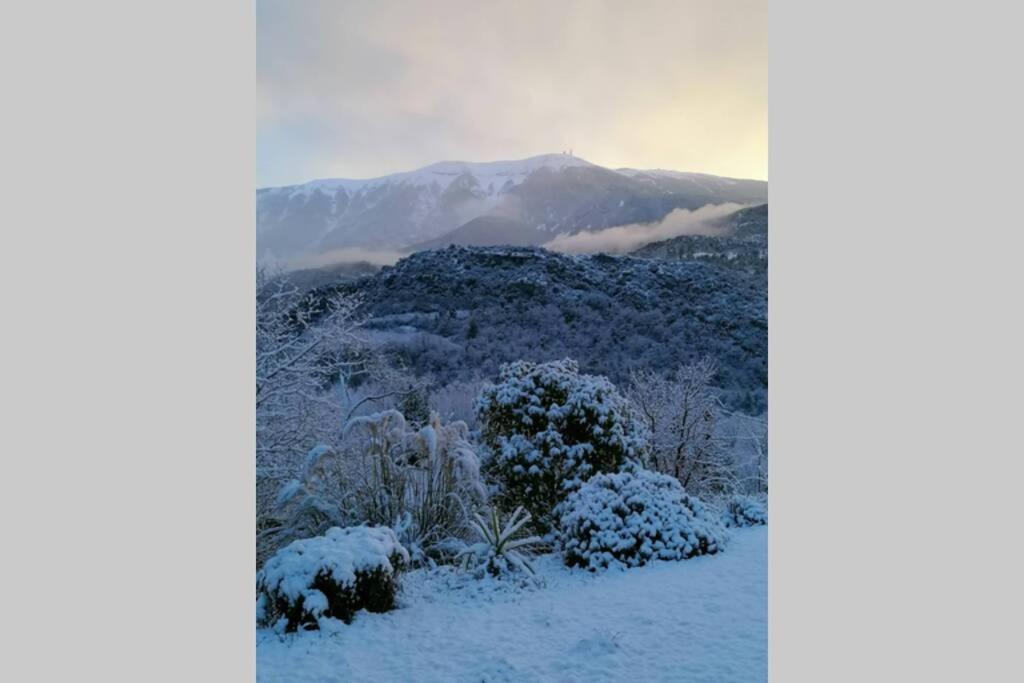 Les Villas Dorees - Villa Soleil Face Au Mont Ventoux Plaisians Buitenkant foto