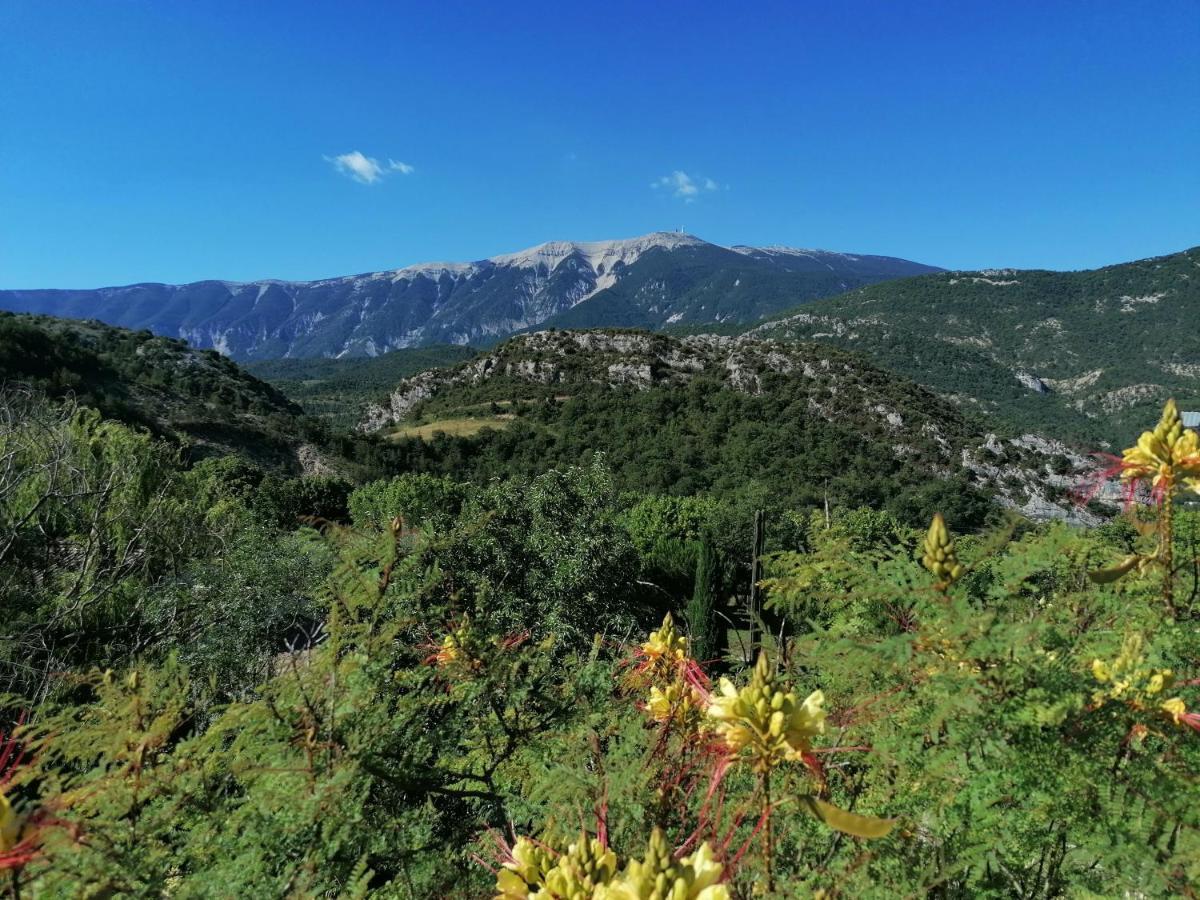 Les Villas Dorees - Villa Soleil Face Au Mont Ventoux Plaisians Buitenkant foto